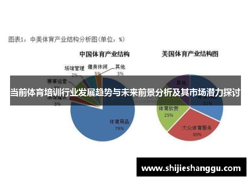 当前体育培训行业发展趋势与未来前景分析及其市场潜力探讨