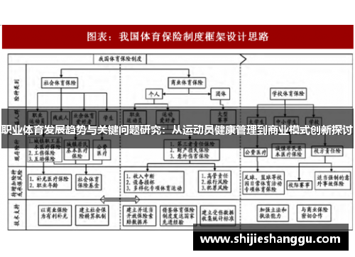 职业体育发展趋势与关键问题研究：从运动员健康管理到商业模式创新探讨