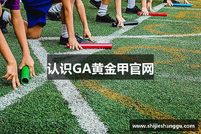 认识GA黄金甲官网